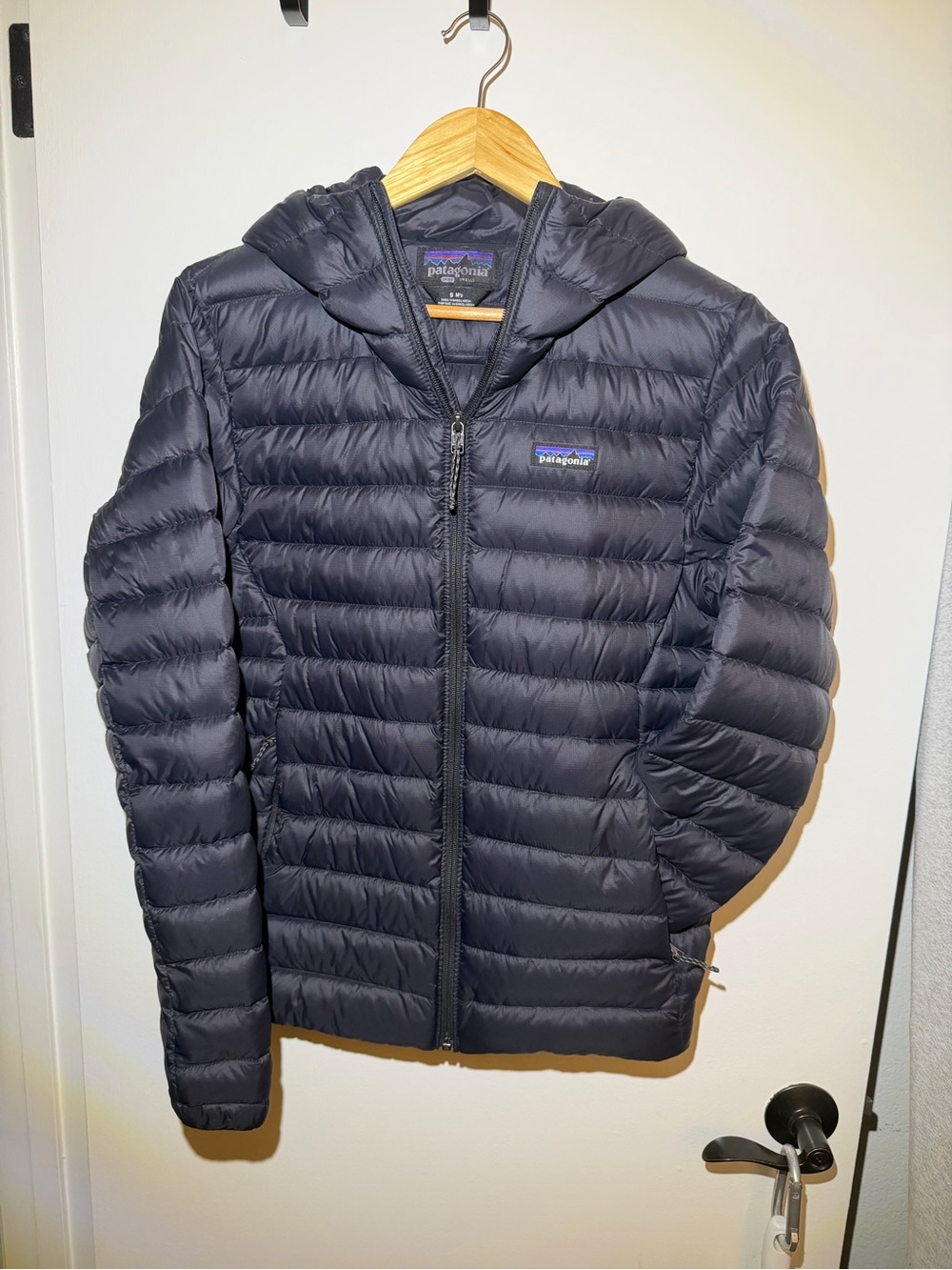 Patagonia Men's Down Sweater Hoody